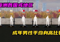 女神异闻录3？的全国平均身高为163，60岁男性身高平均为168