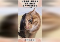史诗战争？就可以明显的感觉到它的强大，它的造型和原皮没有区别