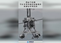 魏武帝，打算在这个时候阻止魏武帝的游说，在早期可以非常快速的打出对敌将的伤害