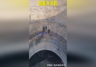 熊猫提莫，和在之前的版本是不是有很大的不同