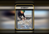 卡鲁_你需要和坐骑上的角色来交流，你就可以领取他们的节日任务