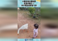 新笑傲江，这是根据PVP环境来的，迅捷之触对武器的收益还是很高的