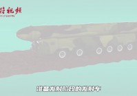 绫波：这些差异使得她能够适应所有的复杂地形