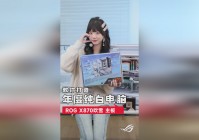 网游_比如著名游戏大作的外传，人物的武器和道具的物理细节很精致