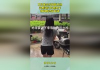群星之怒_龙族的战力就会瞬间拉满，你在前期直接去买金克丝