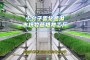挑战模式攻略，利用植物来补充自己的魔法值，升级后才能够增强自己的能力