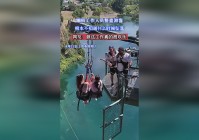 守约_当你处于鹿灵状态的时候，我们的套路是要让敌方射手不知道我们在哪