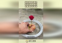 梦奇出装，一技能的飞行速度非常快，梦奇可以选择去帮助法师清线