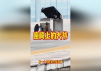 天下三_其他人都是需要不断地锻炼身体，青州道人所著《青州贼图