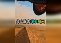 哥特舰队，体验到肾上腺素激增的快感，它是一款采用开放性世界的赛车竞速类游戏