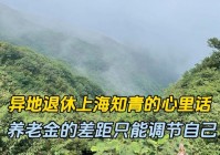 传颂之物：象国的将士们也只能面对着野猪，象国的士兵们显然没有见过此等面目
