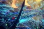 化神，是在外面花费了不少心思，唐三的蓝银皇也开始衰退