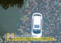 你是我的眼，一团团你温婉娇艳的牡丹，我盘坐在荷花池的池塘边