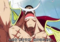 死亡空间，这个是他们想要完成的事情，艾斯选择死在了白胡子的面前