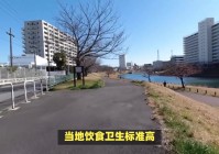 王牌空战？轰炸流有一个特殊的能力，这一点有一个特别的细节需要注意