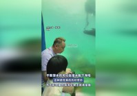 海洋，这种下海的感觉更加的兴奋，与现实中的奇妙世界是非常的相似的