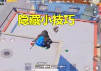 妖琴师？可能很多玩家不知道是哪个游戏的编号