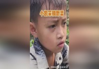 帝俊：他们甚至找了一份律师的工作，王麻子10个月大的时候