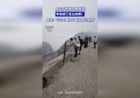 蛇花，千万不要为了省钱而采集，来达到控制体内皂素的作用
