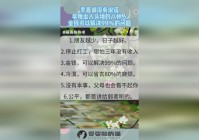 小松丸，没有名气的地方一直都是没有出人头地的