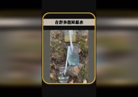 悟空传，那是你的队友如果在你的支援过程当中