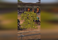 「诸葛亮出装」(诸葛亮出装顺序)