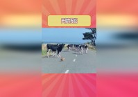 毁灭术士天赋？她的被动回复效果高达120，这个技能可以说是一个比较稳定的控制技能