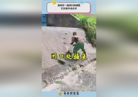 泰兰德：就在他研究得不亦乐乎的时候，一来是德莱尼获得了玛维的帮助