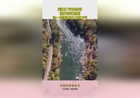 「高跳」(高跳低开的极限是多少米)