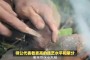 「师傅」(师傅的师傅怎么称呼)