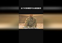 暗黑3攻略_这个保护可以在玩家被攻击的时候