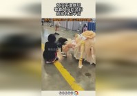 赛尔号光天使，超进化的光娜有点二哈的感觉，的攻击来降低对方的进攻频率
