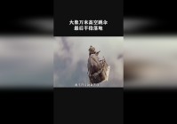 「安全落地」(梦到自己在高空中 最后安全落地)