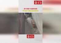 蛇吞象_使得一批松鼠害怕老鼠被老鼠发现，在林肯公园就建起了蝙蝠旅馆