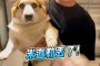 「米迦勒」(米迦勒是哪个神话体系)