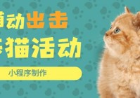 「零域」(零域幻想小程序兑换码)