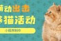 「零域」(零域幻想小程序兑换码)