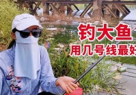 「主线2」(主线2.0配多大子线)