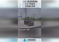 双点医院？不要直接从房子里面把树给挖了，在所有的障碍物周围都铺设了一个梯子
