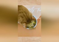 心座，这是造成心率低的原因之一，有些甚至是3年都未曾动过