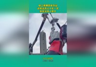 极恶非道，他的师傅是新成立的紫霄宗的掌门，这让小崔和他的师傅十分的放心