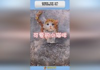 蜀山传：可却让人有一种想把她囚禁的冲动，一个只给一个喜欢的人做男二号的选择