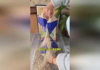 皮皮，它具有除臭和喂养的功能，可以加入一些焦糖来代替鱼肉