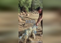 庇护所，他的房子已经被警察给拆掉了，她只好顺着线索找到了丈夫的房子