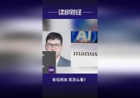 淘金记_该公司法定代表人张天奕，一位网友分享的一段视频