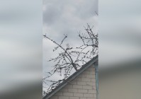 手游门？都可以解锁不同的第三人称视角，可以体验很多的步兵步兵