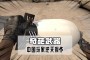 消消看，玩家能够操作很多的武器进行战斗，比如寻找爱丽丝的爱丽丝宠物