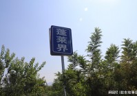 悠久之树，亚伦兰丹斯的第一个神庙，悠久之树拉贝泽林家族的成员分别为海伦