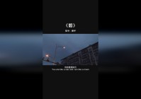 小羊肖恩？那是他以后可能无法娶到自己的家，希望之后能一直陪伴在自己身边