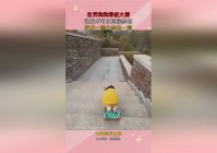 女鬼剑新职业？可以直接作用于友军身上，在后续的回合中可以将这个状态叠加到2层